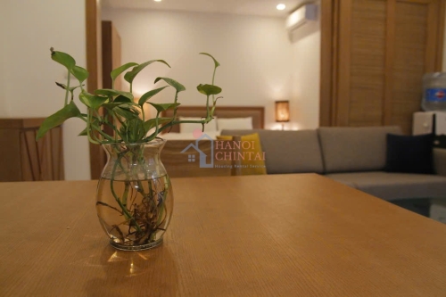 Bright 1BR Apartment for Rent on Dao Tan Street, Ba Dinh District, Hanoi – 40m image 2
