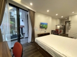 Affordable Pet-Friendly 1-Bedroom Apartment for Rent on Hoang Hoa Tham Street, Hanoi